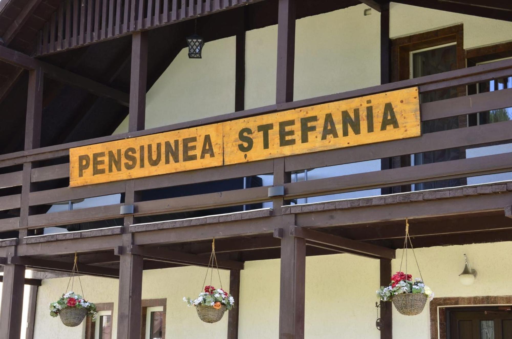 Pensiune Stefania Хунедоара Екстериор снимка